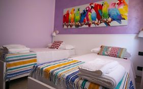 B&B Trepo